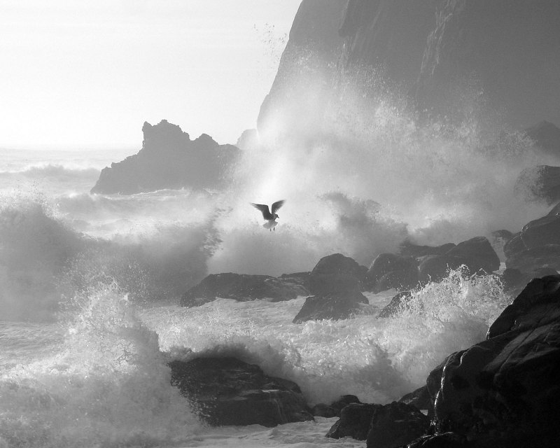 Бушующее море черно белый