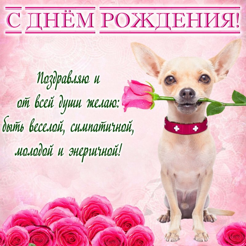 Лена с юбилеем 50