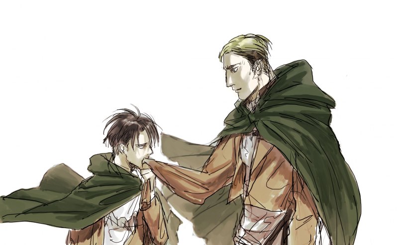 Леви и Эрвин