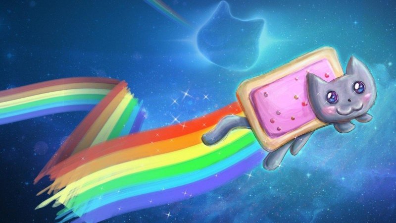 Разноцветная кошка