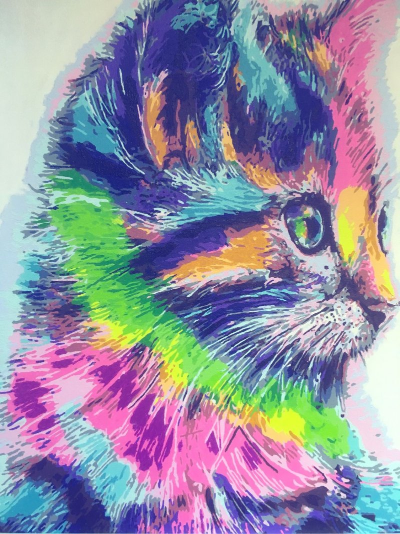 Радужный котенок