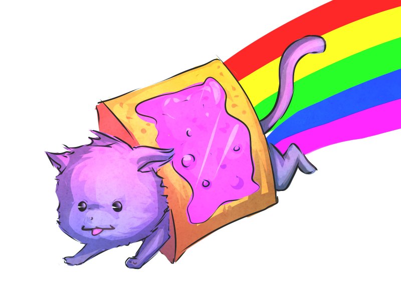 Радужный котик нян Кэт