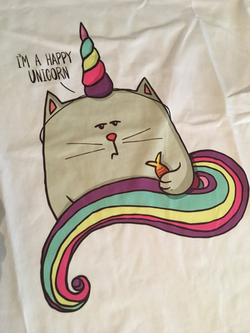 Кот Единорог