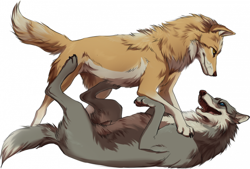 Альфа и Омега волки