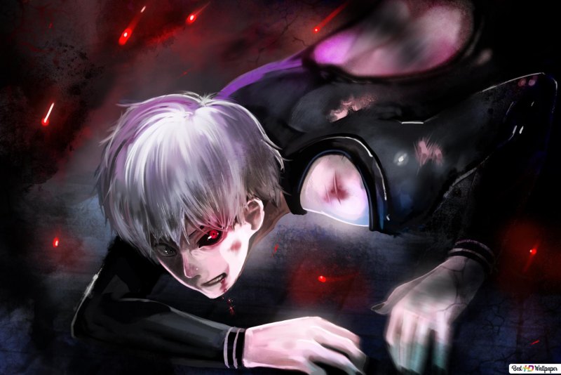 Коты Токийский гуль