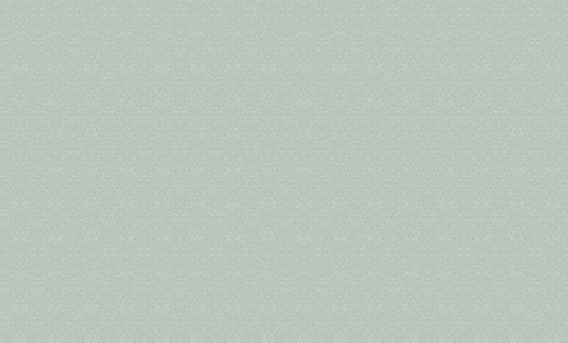 Эрисманн impression 3431-7