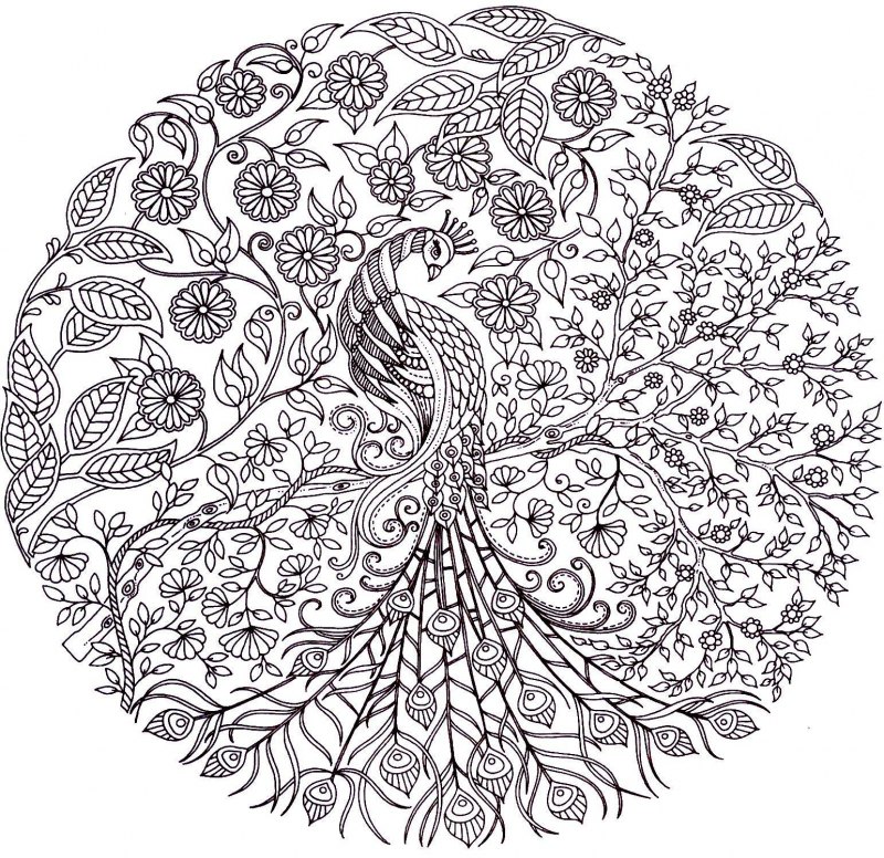 Джоанна Бэсфорд таинственный Жар птица