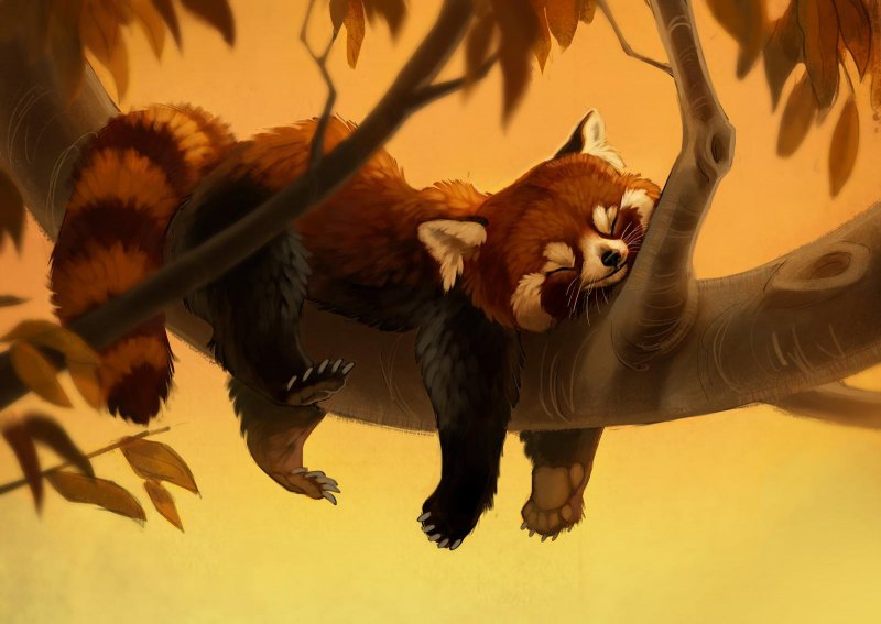 Красная Панда персонаж