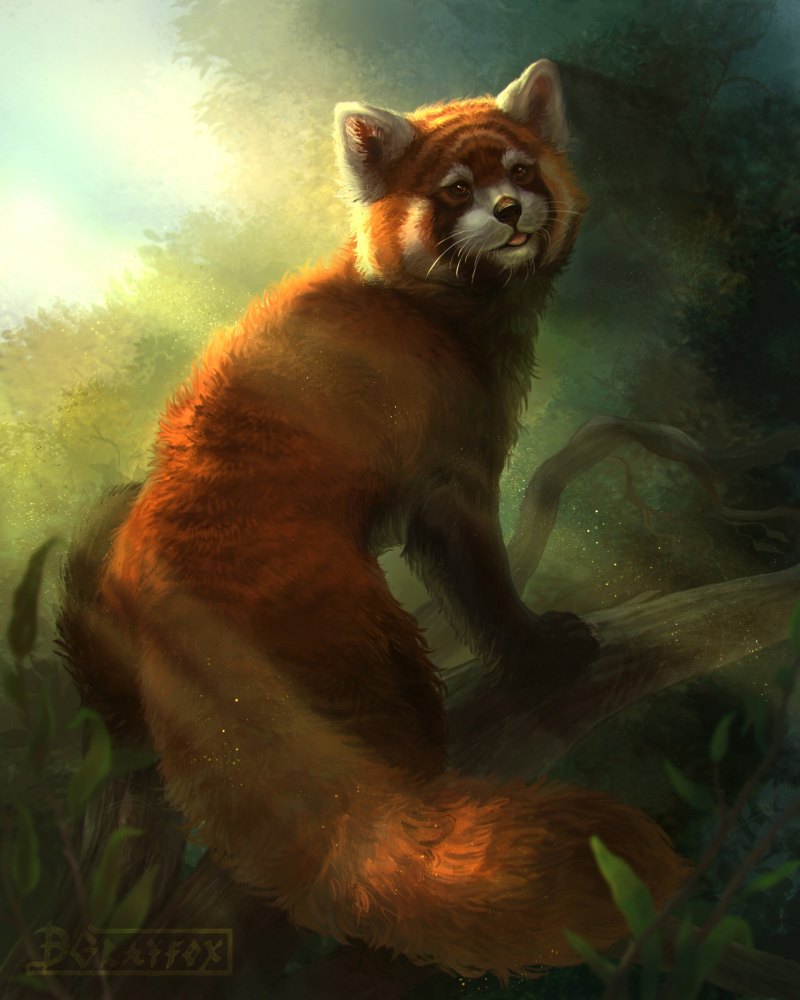 Дикие животные арт