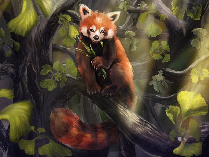 Мифическая красная Панда