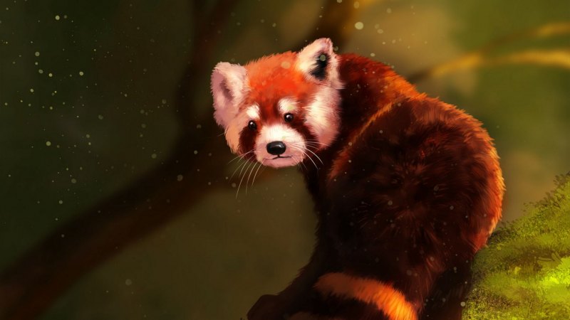 Наоми Лорд красная Панда