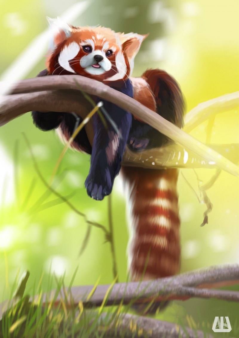 Красная Панда кавай