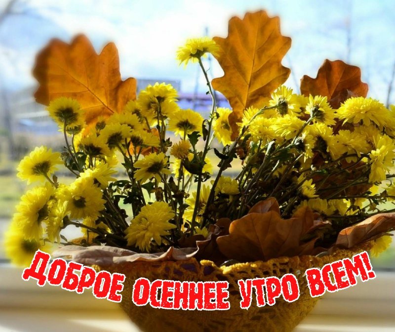 Пожелания с добрым утром осенью