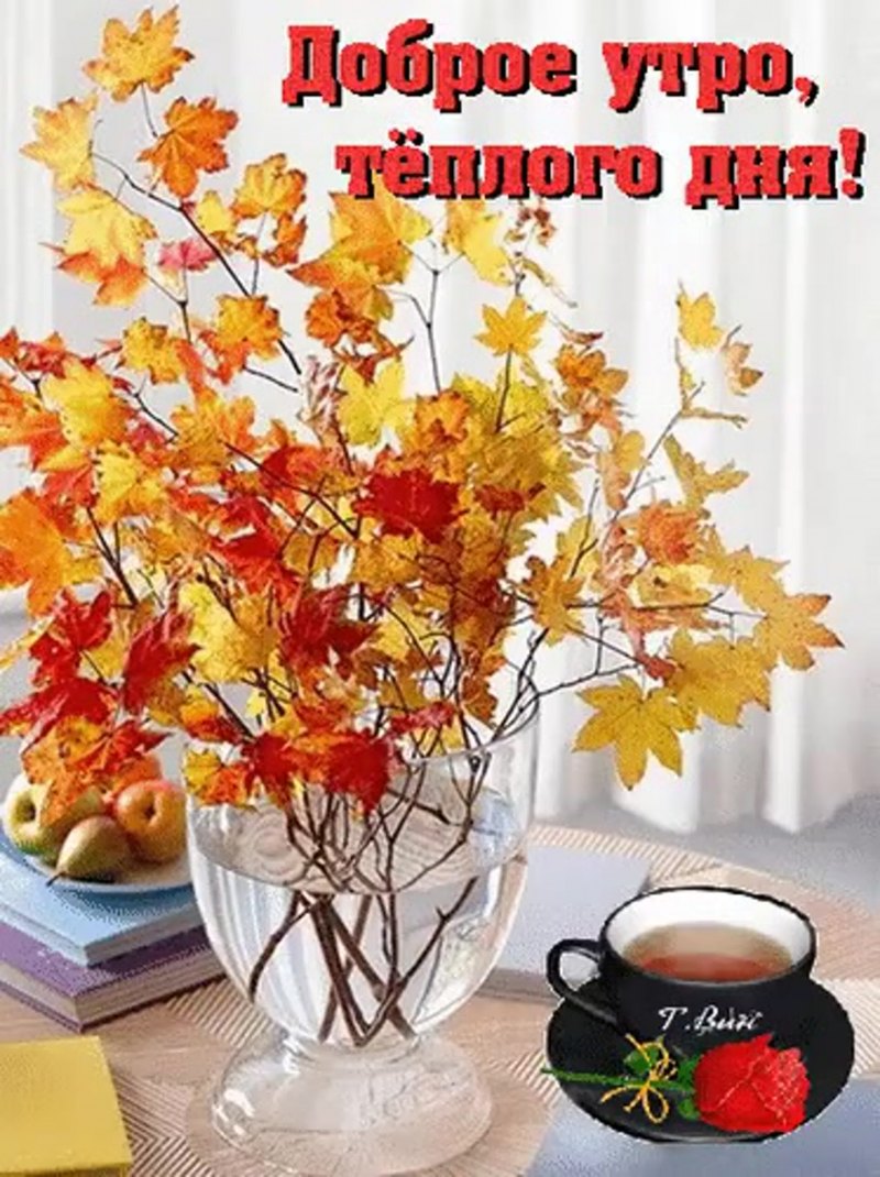 С добрым осенним утречком