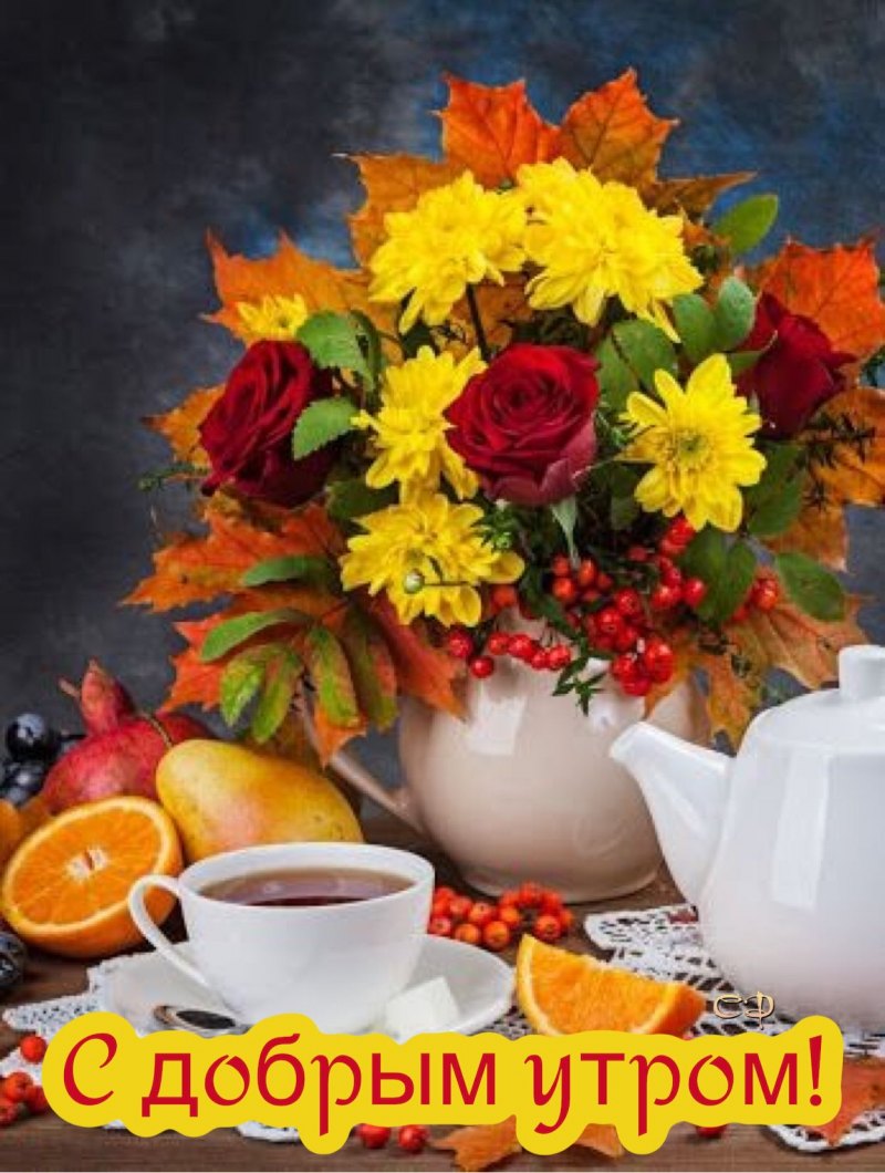 Пожелания с добрым утром понедельника