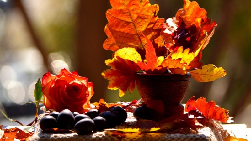 Осеннее воскресенье