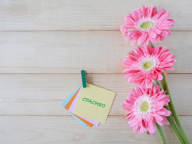 Спасибо за поздравления с днем рождения