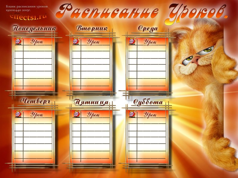 Школьные кружки и секции