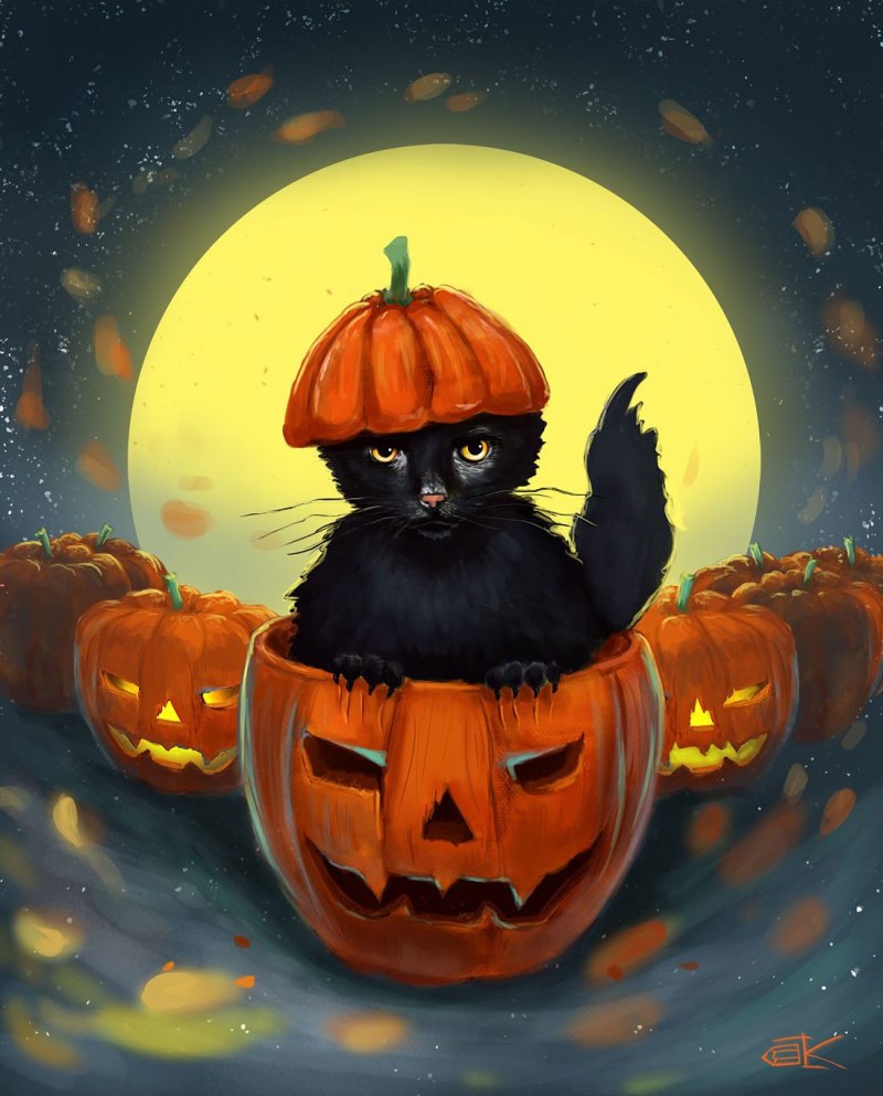 Котик Хэллоуин