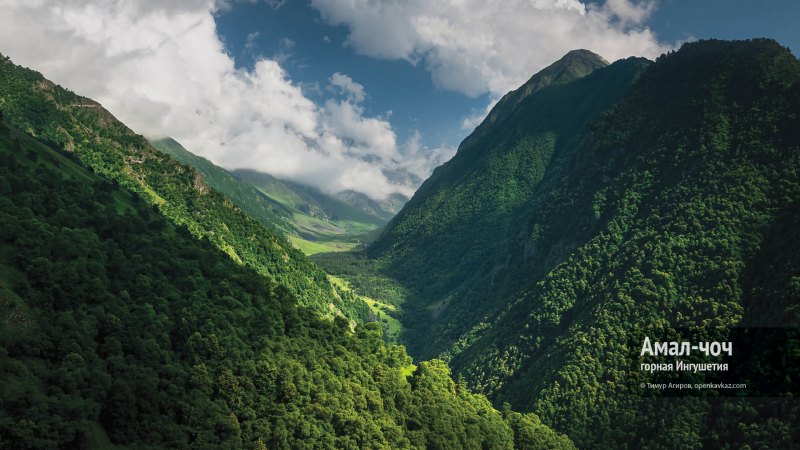 Горы и леса Чечни