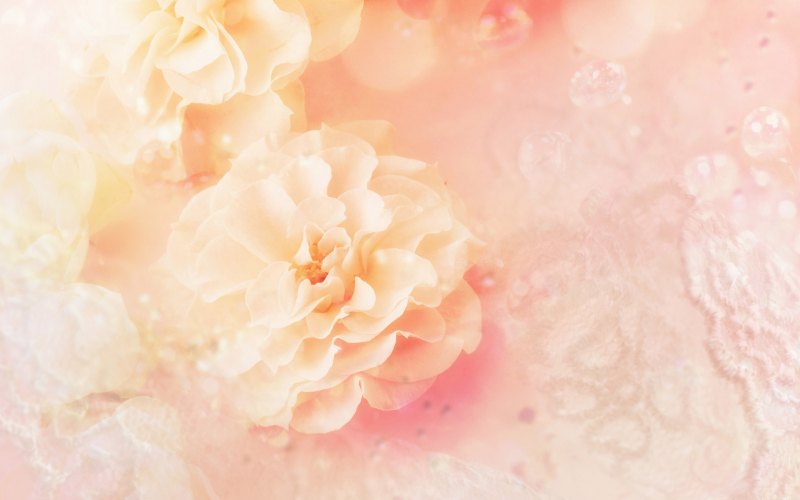 Фон для презентации нежный