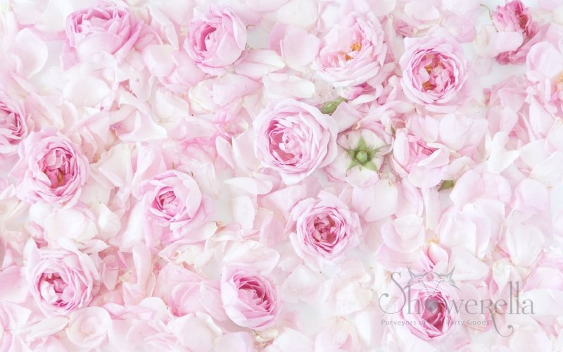 Светлый фон