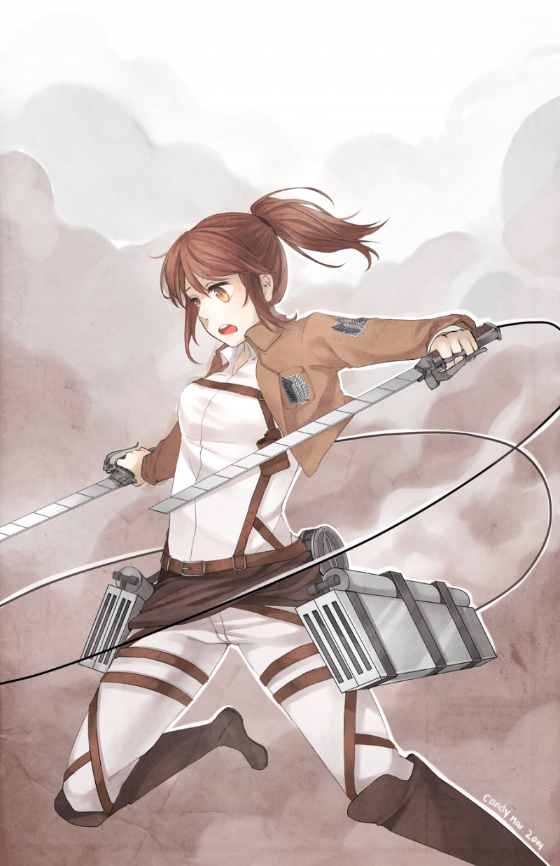 Саша Браус смерть