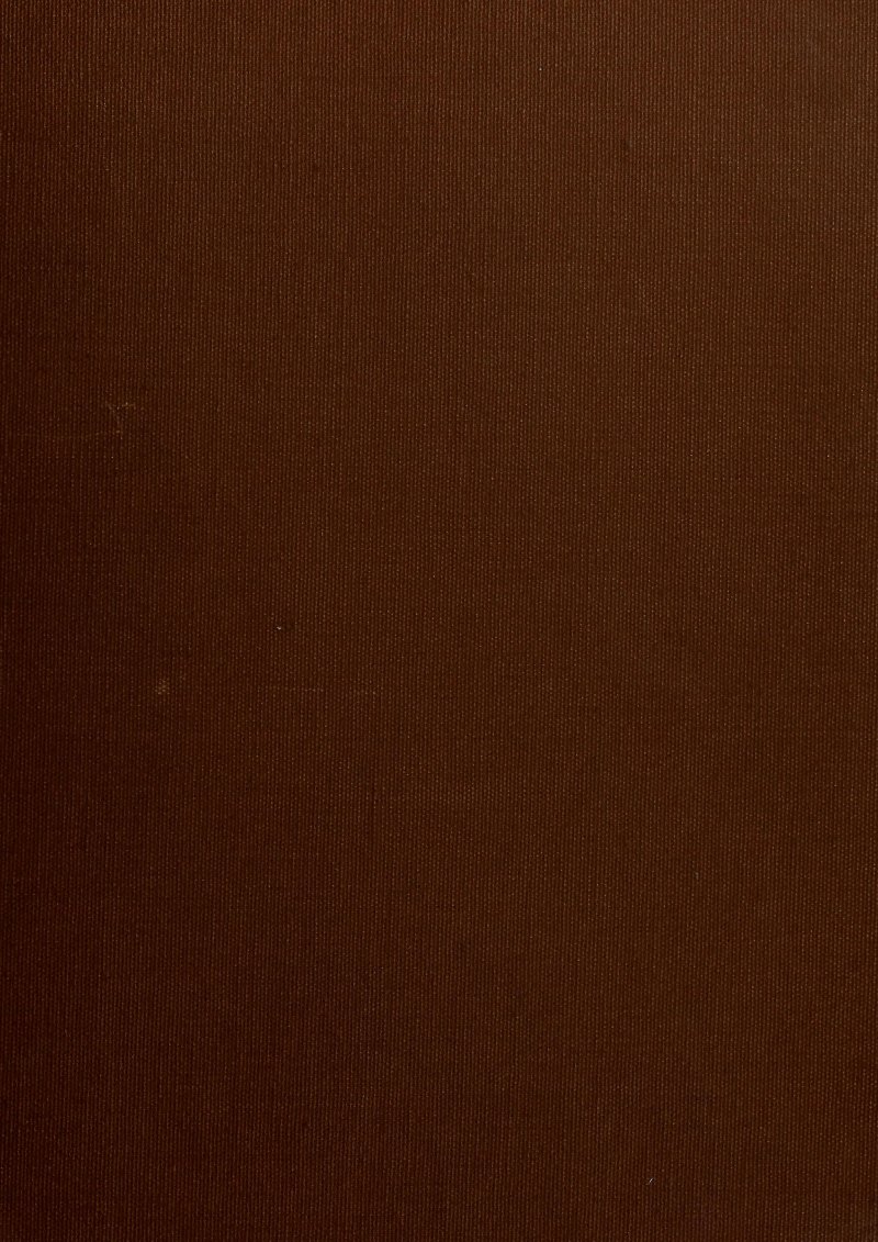 Коричневый тон однотонный