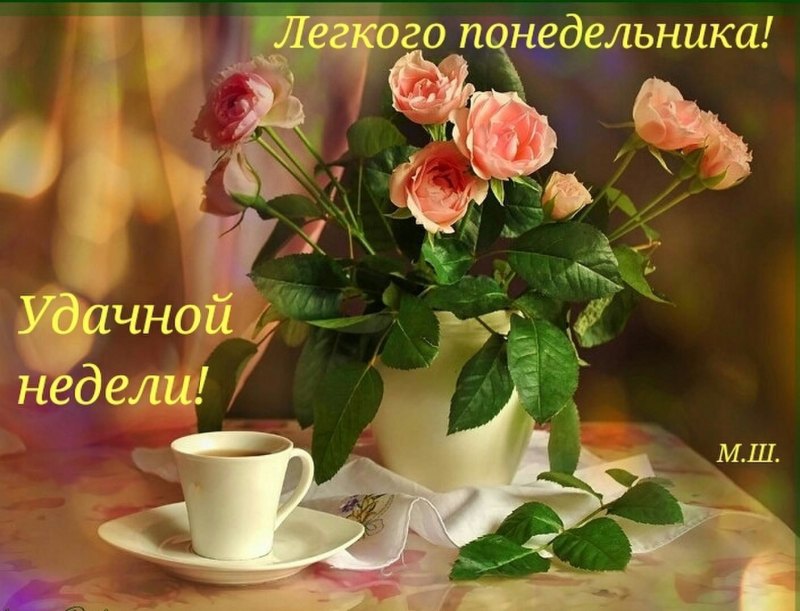 Лёгкого понедельника цветы