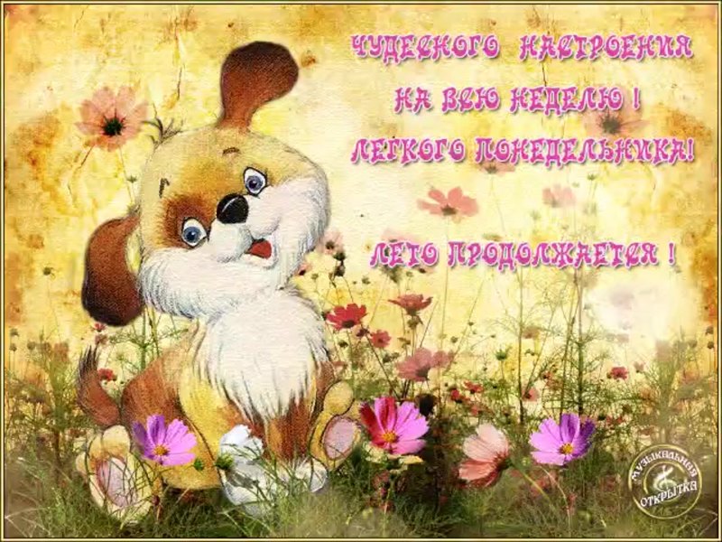 Хорошего настроения на всю неделю