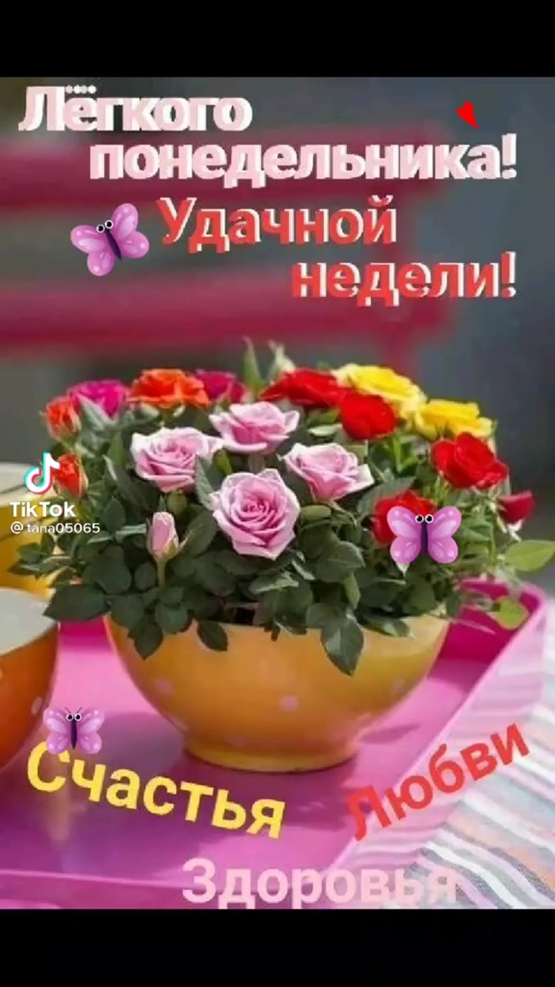 Прекрасного понедельника и удачной