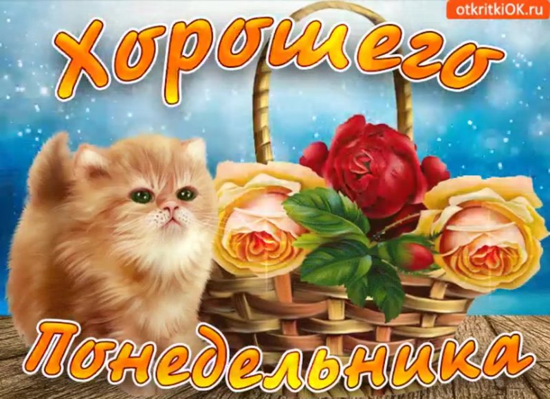 Привет доброго понедельника