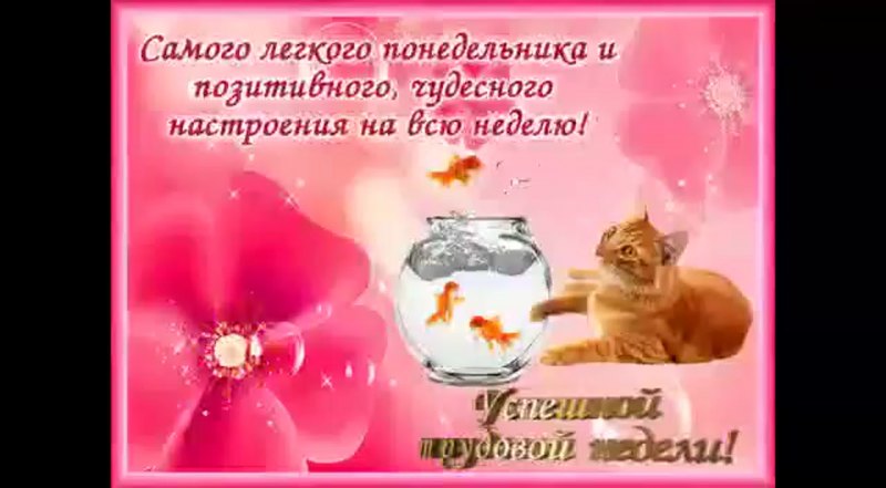 Красивое поздравление с понедельником
