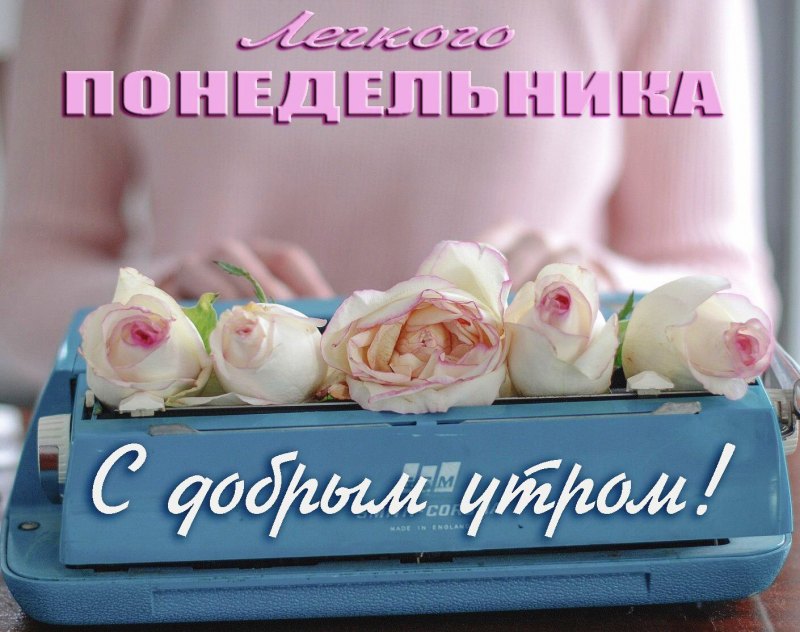 Нежное утро понедельника