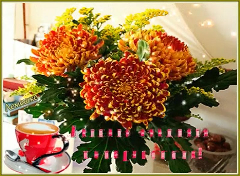 Ромашки с пожеланием доброго утра и хорошего дня