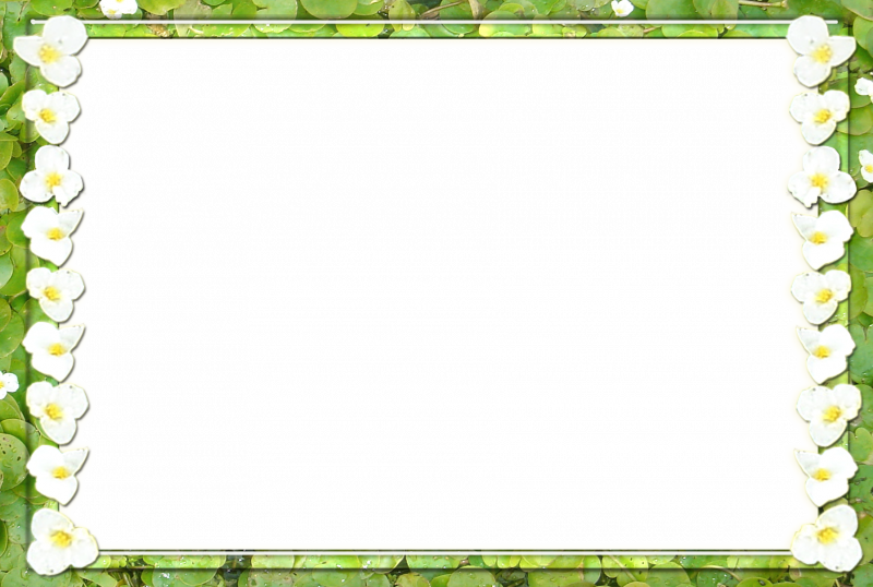 Весенняя рамка
