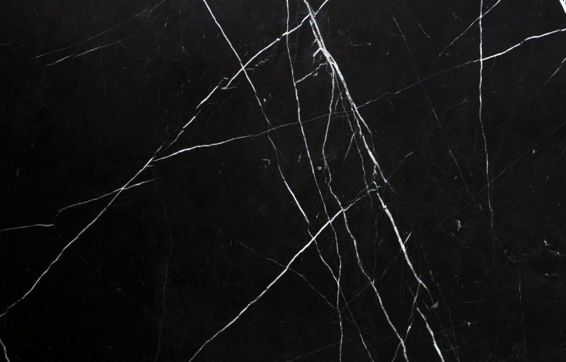 Rex Nero Marquina