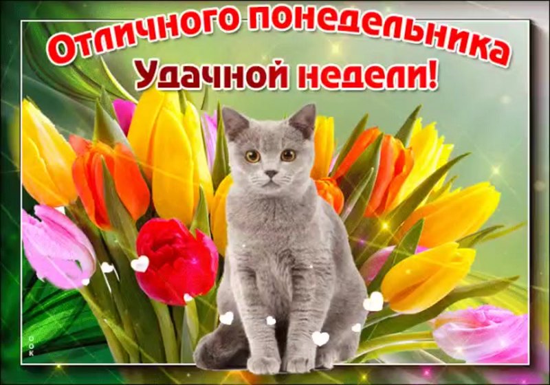 Легкого весеннего понедельника удачной недели