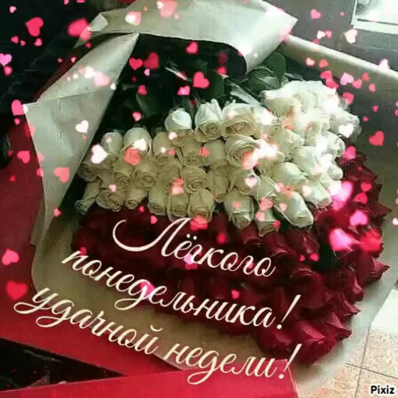 Удачного зимнего понедельника и легкой недели