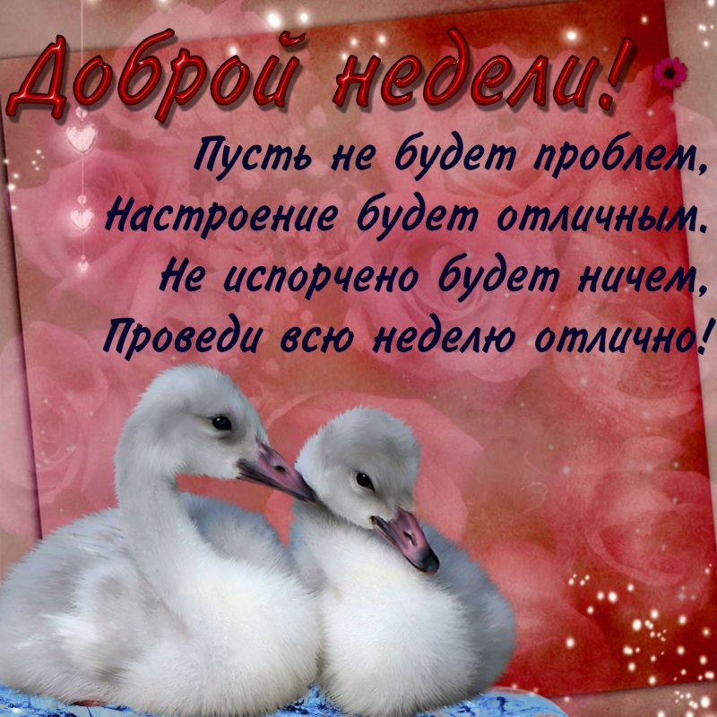 Пусть новая неделя будет удачной