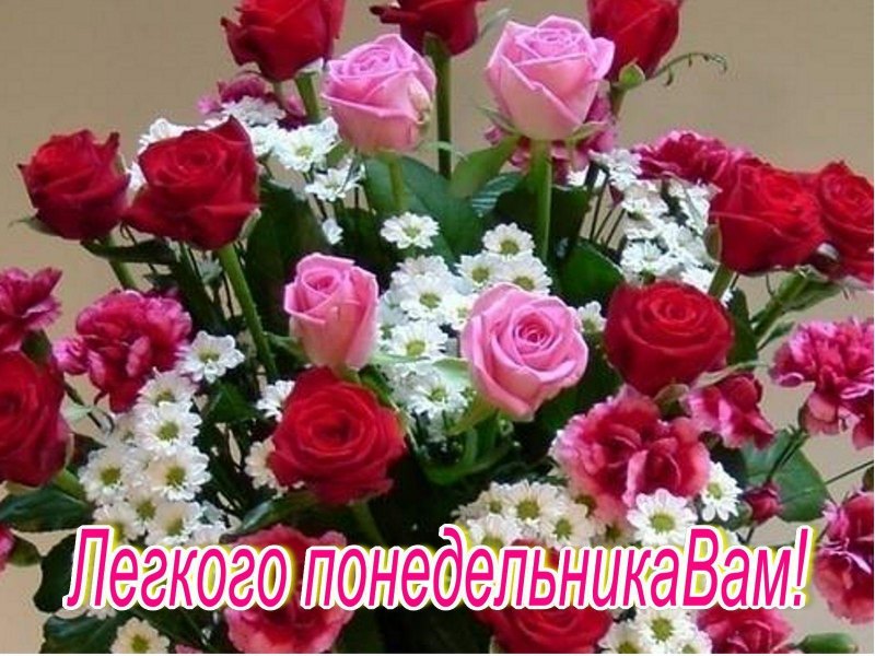 Лёгкого понедельника