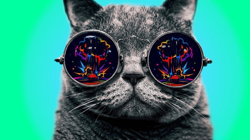 Аватар кот в очках