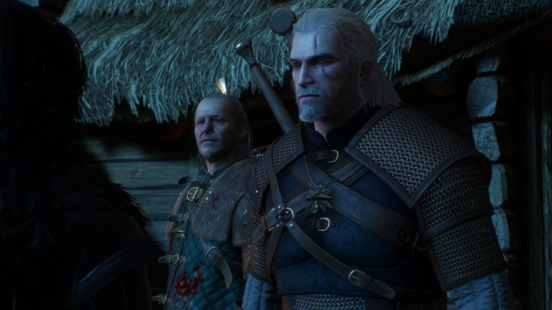 The Witcher 3