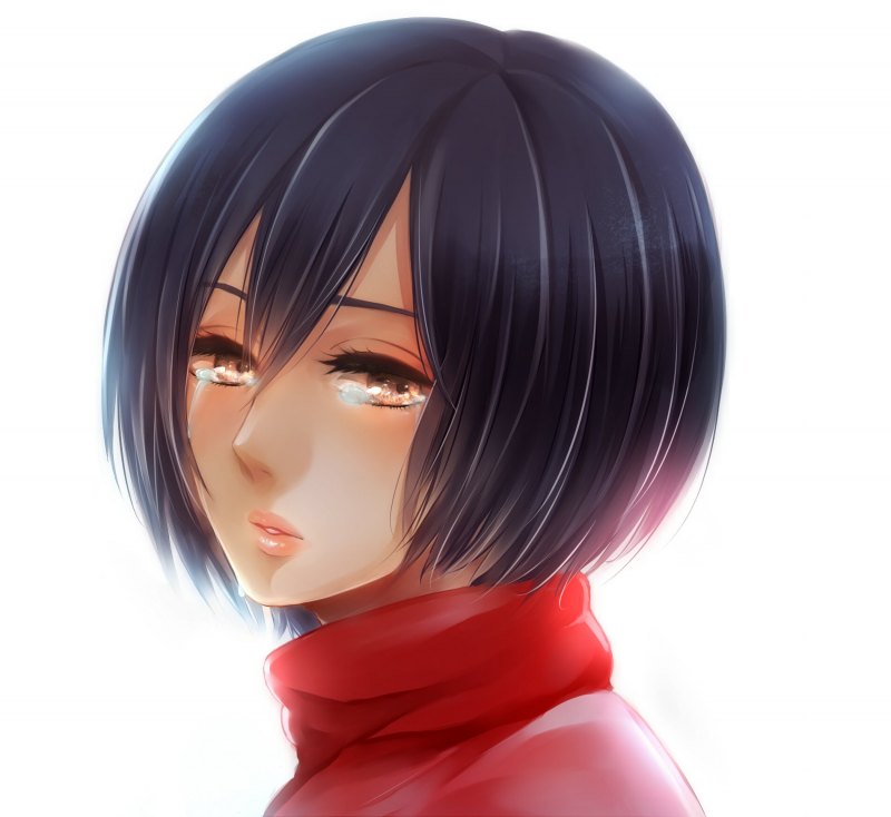 AOT Микаса