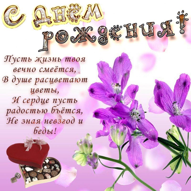 Поздравления с днём рождения Катя