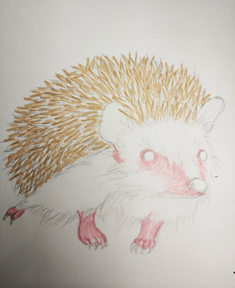 Ежик карандашом