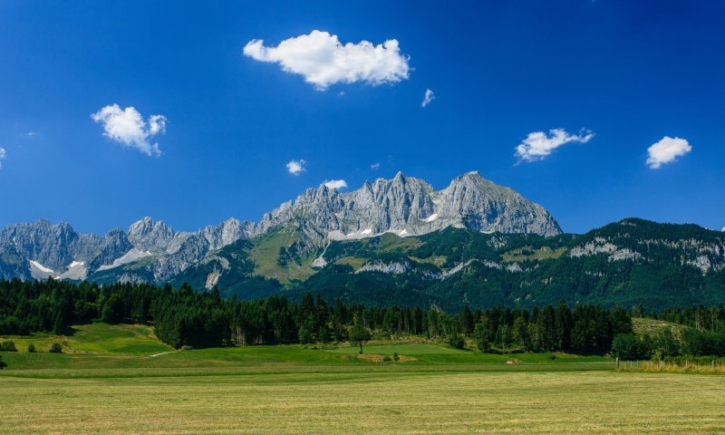 Горы лес Альпы