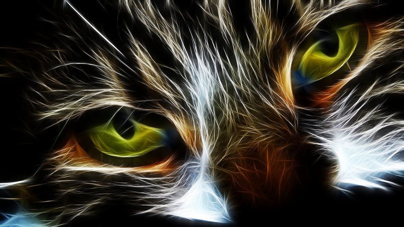 Коты акварелью