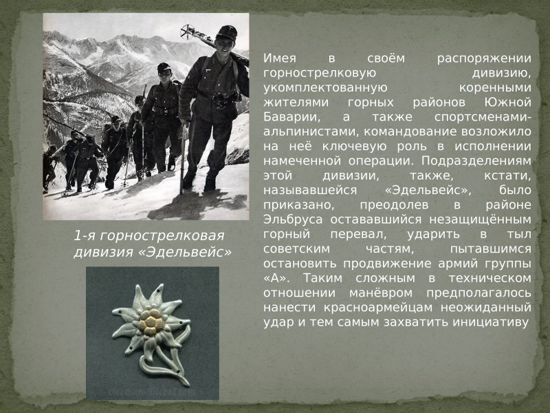Немецкие горные стрелки Эдельвейс Альпы