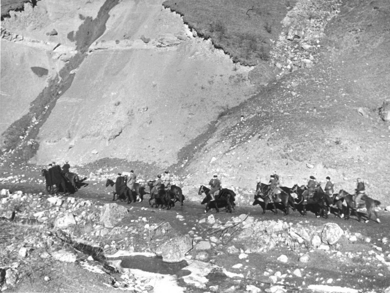 Битва за Северный Кавказ 1942 1943